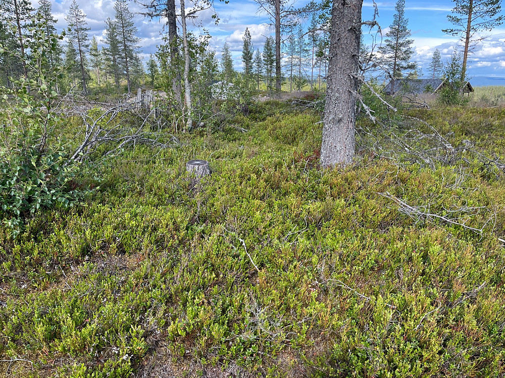Tjernsbuåsen