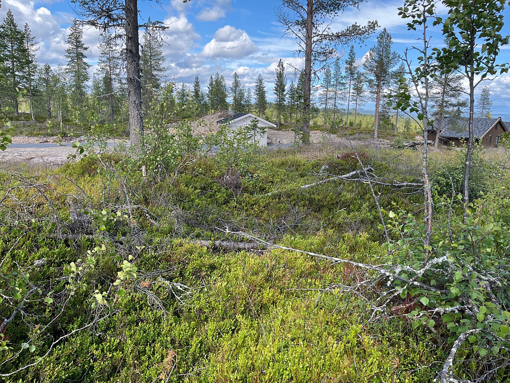 Tjernsbuåsen er i ferd med å bli hyttefelt