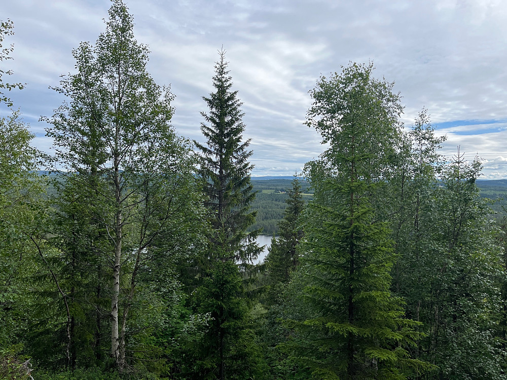 Utsikten fra toppen