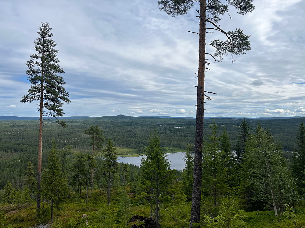 Østover fra lia nord for toppen