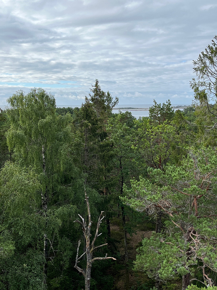 Utsikten fra toppen. Ser havet