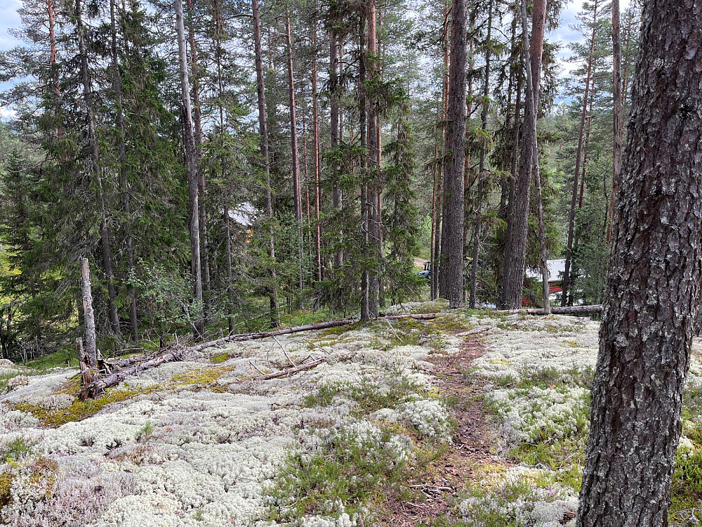 Fes toppen mot jakthytta og huset