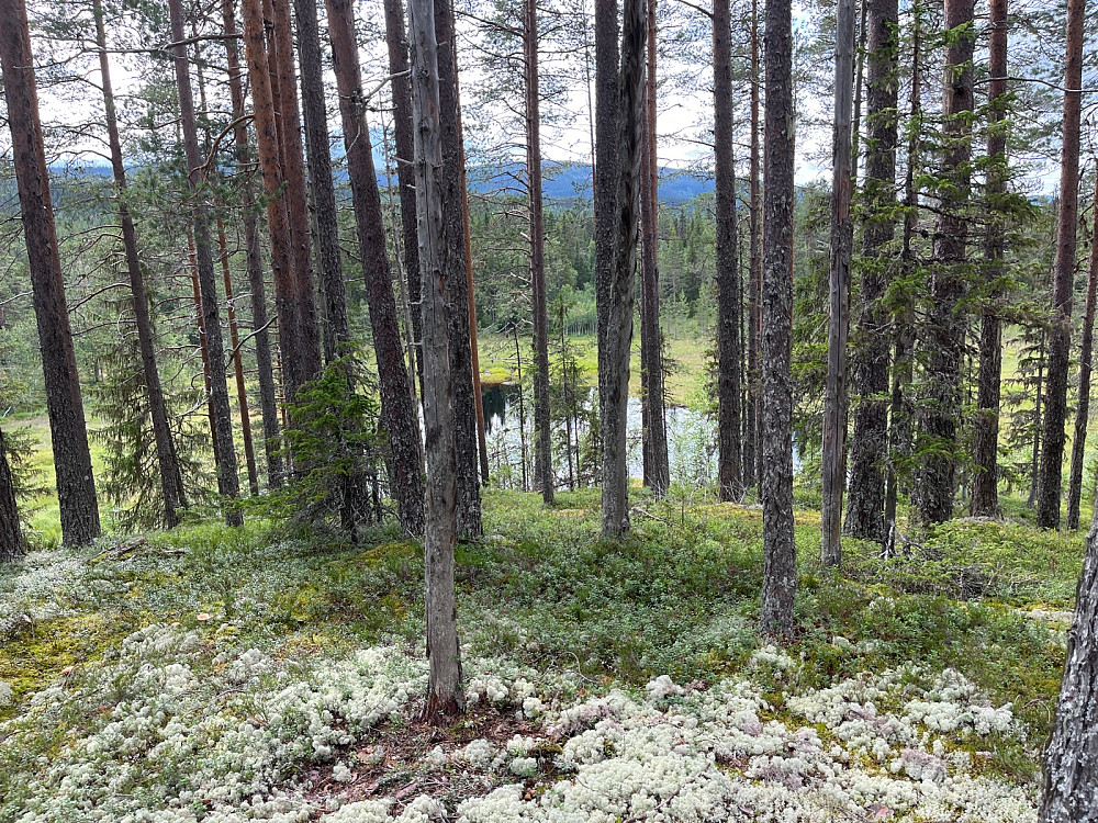 Fes toppen mot vannet nord for