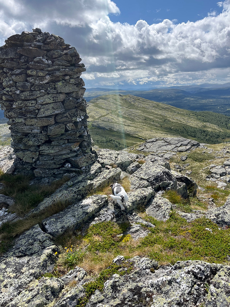 Fra Storkletten mot Skjerdingfjellet