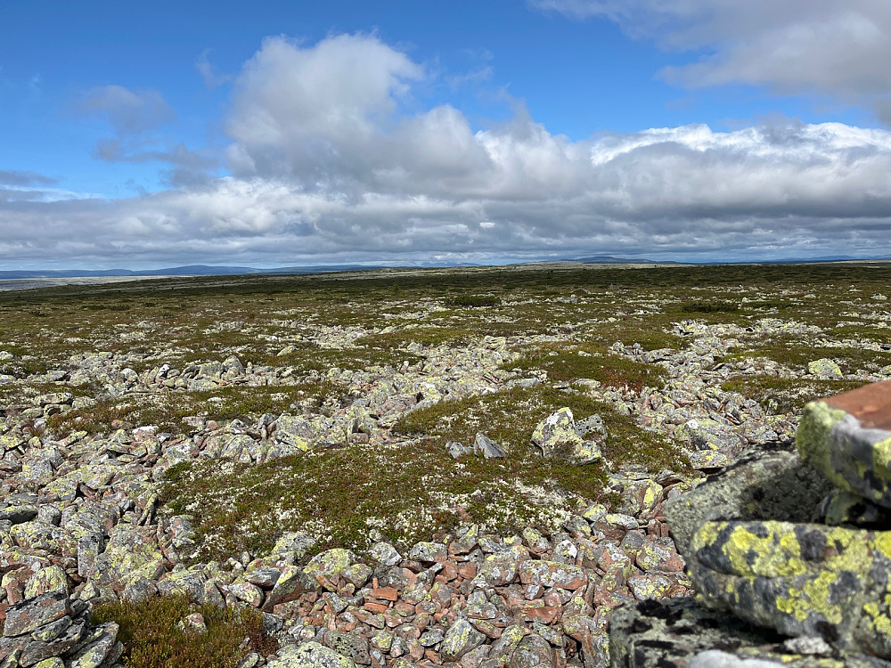Vestover fra toppen