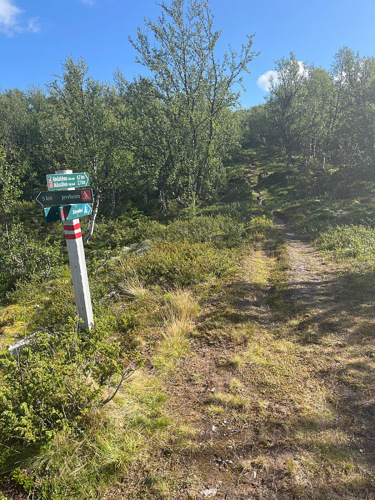 Stistart i Rødalen