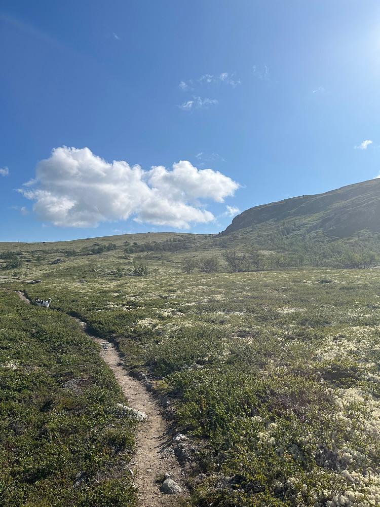 Det åpnet seg opp etter 10 min. Valgte stien hele vegen da jeg hadde god tid og det var vått i terrenget
