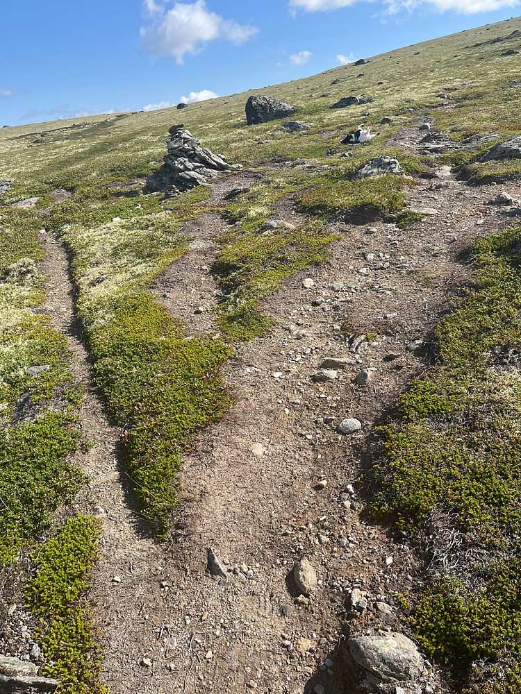 Første stidele, holdt til høyre