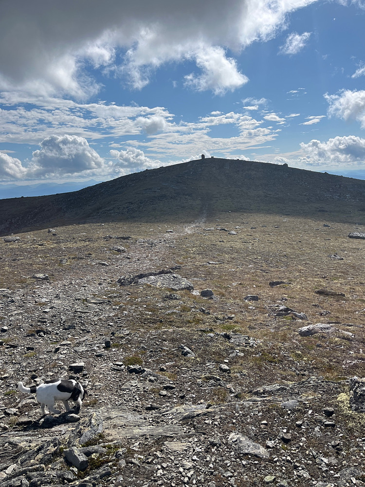 Nærmer seg. Halvveis ca