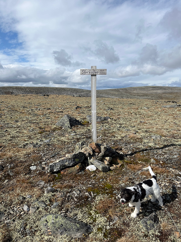 Nå i orden…
