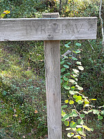 Harex_20240919_66ec75fc88b2c.jpg