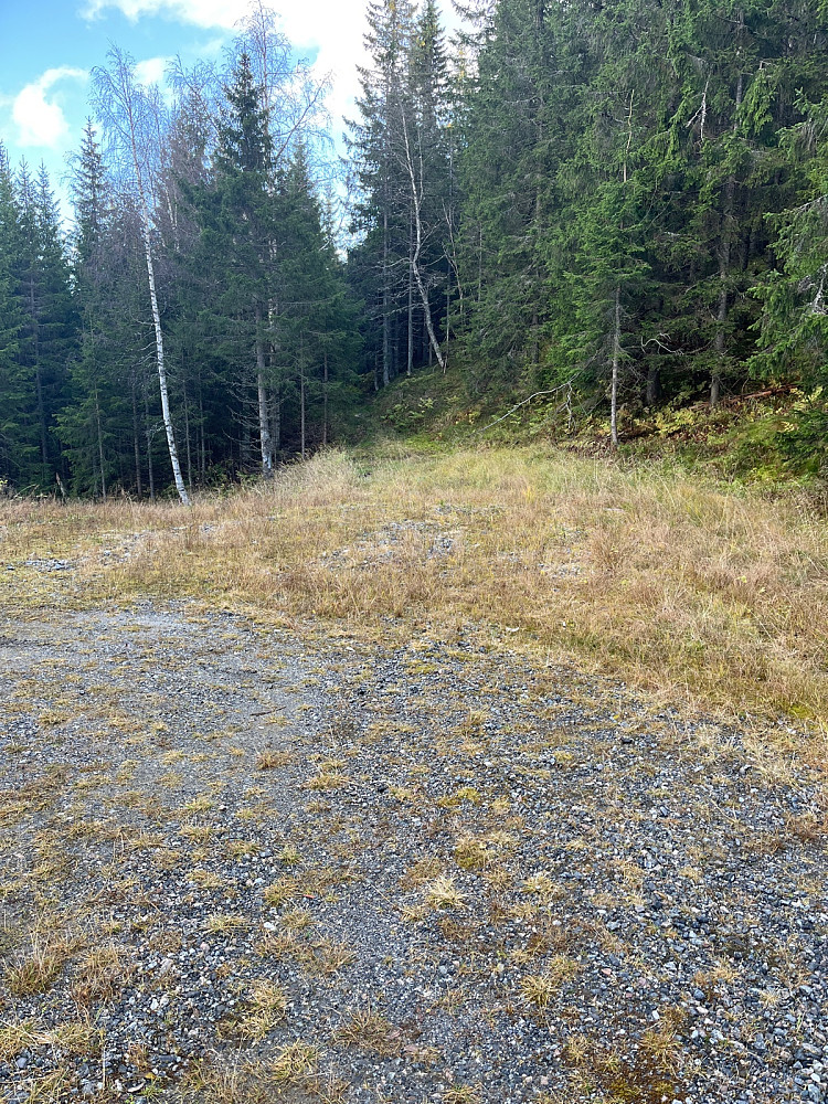 Veis ende og bushing herfra
