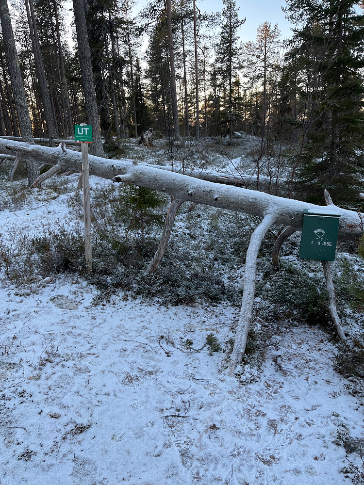 10 m fra toppunktey