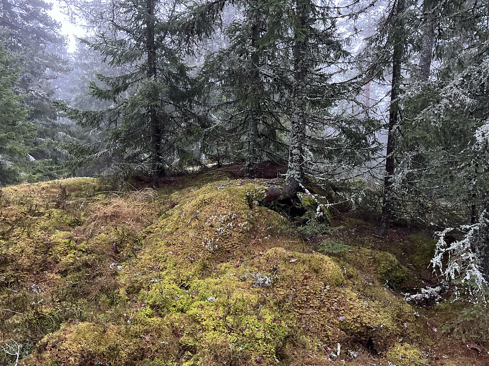 Toppunktet fra nord