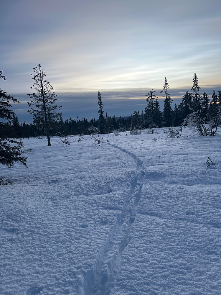 Tilbakeblikk 750 m før toppen