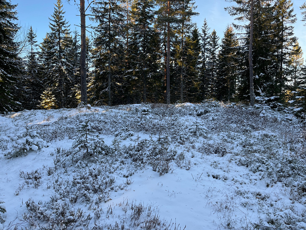 Toppområdet