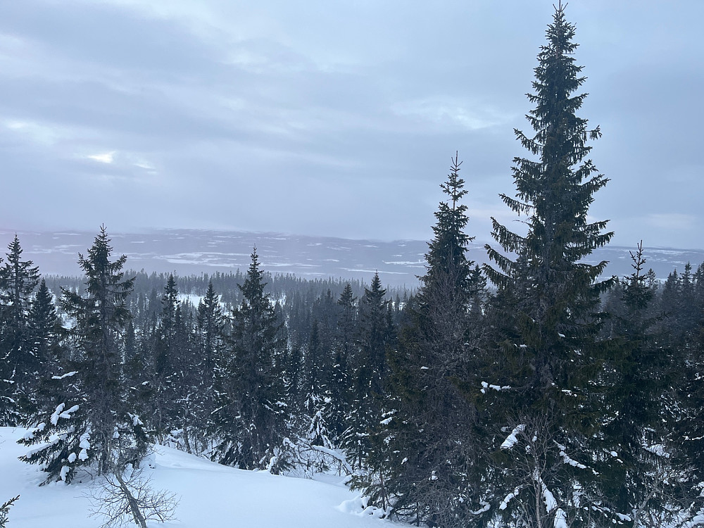 Mot Trysil-Knuts fjellverden fra Rishøa.