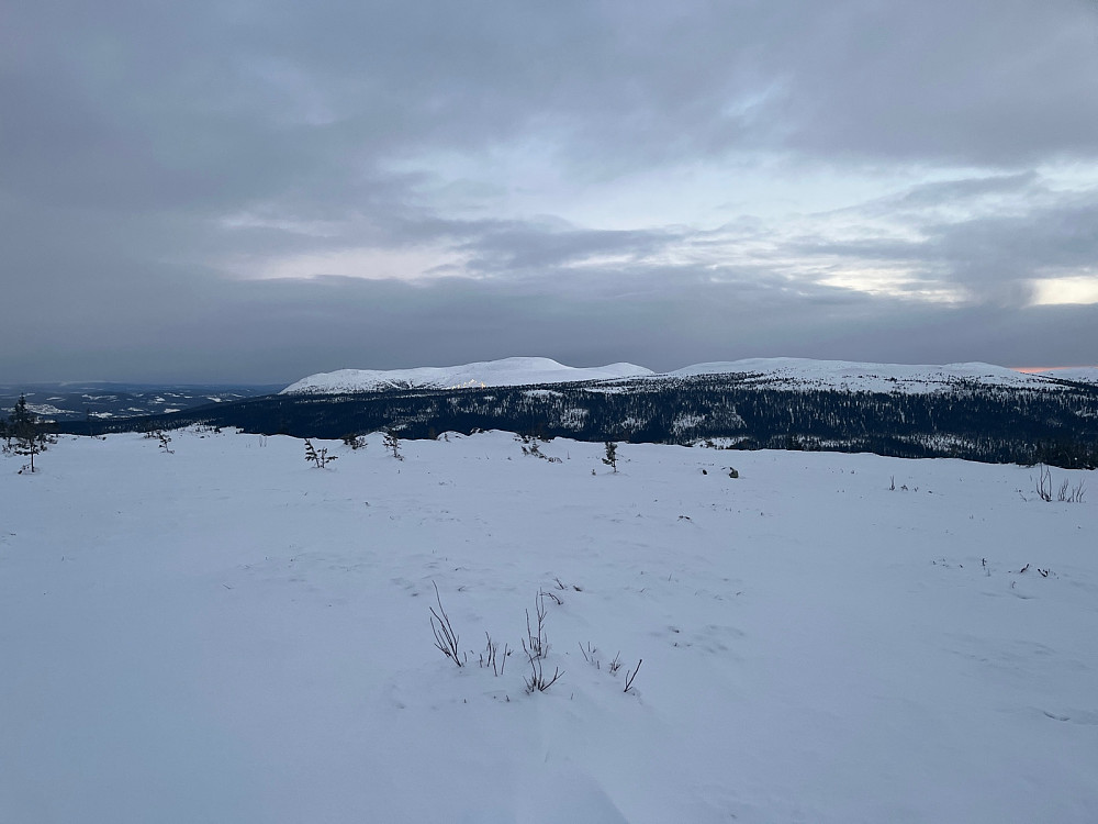Mot Trysilfjellet