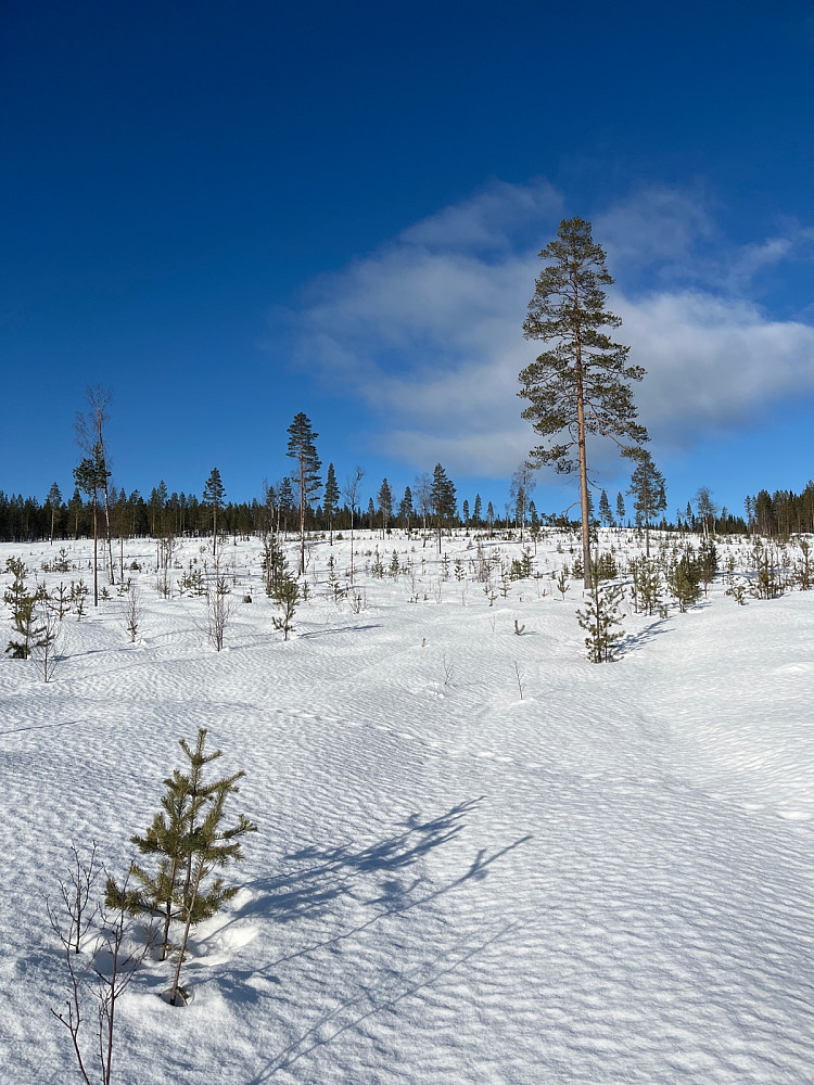 Første stigning fra fylkesveien.