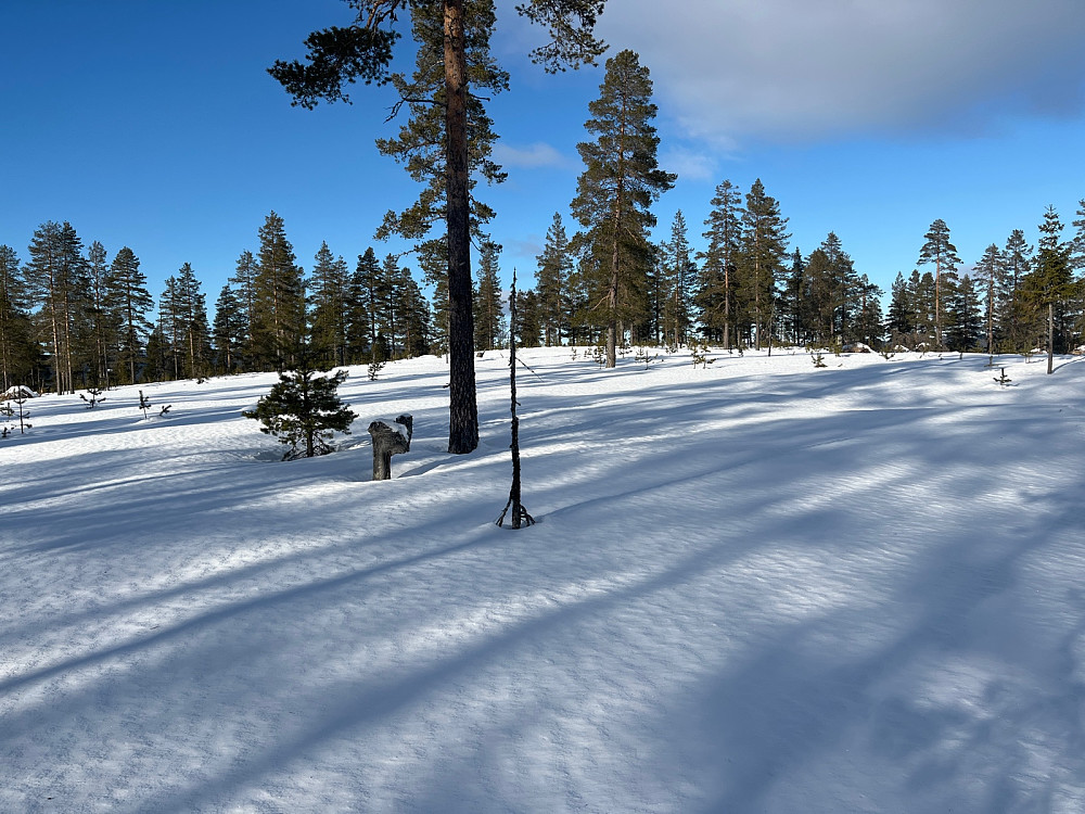 Topp-platået rett forut.