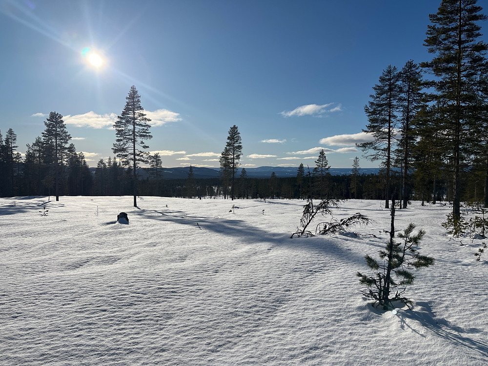 Sørvestover fra toppen.