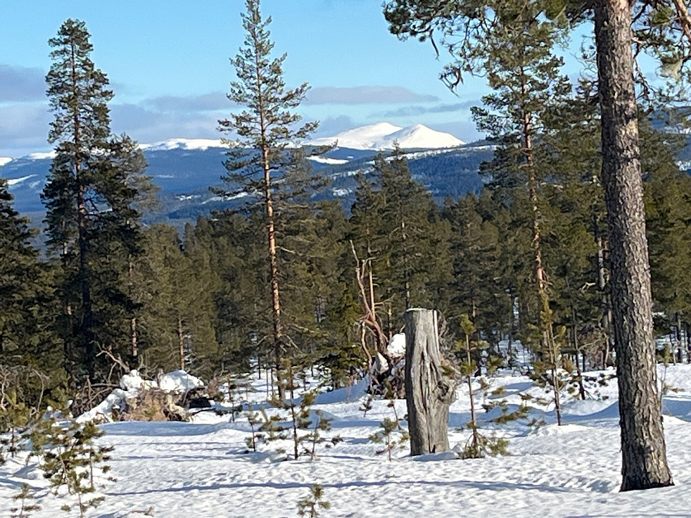 Mot Trysilfjellet fra toppen