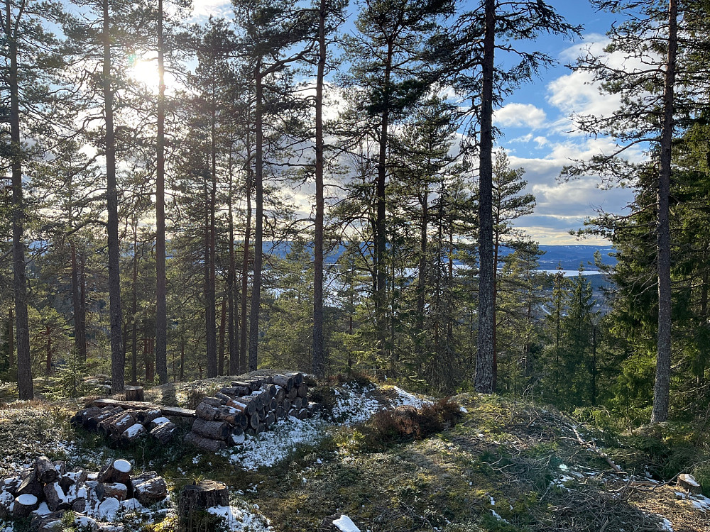 Utsikt fra toppen og Storsjøen synes mellom trærne