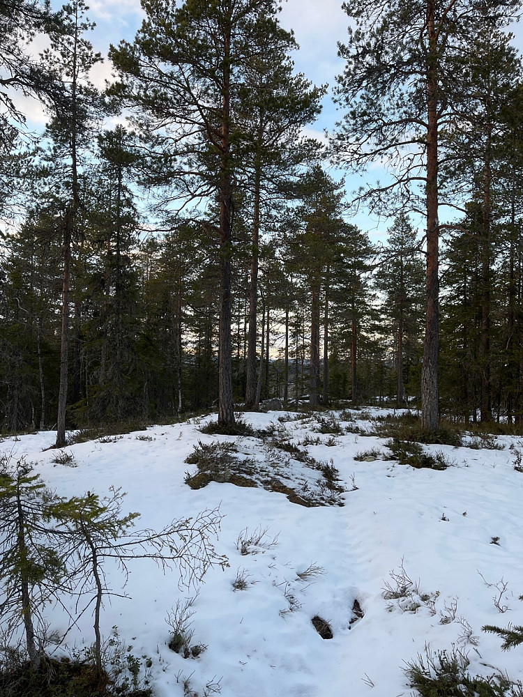Litt utsikt nordover fra topp-platået