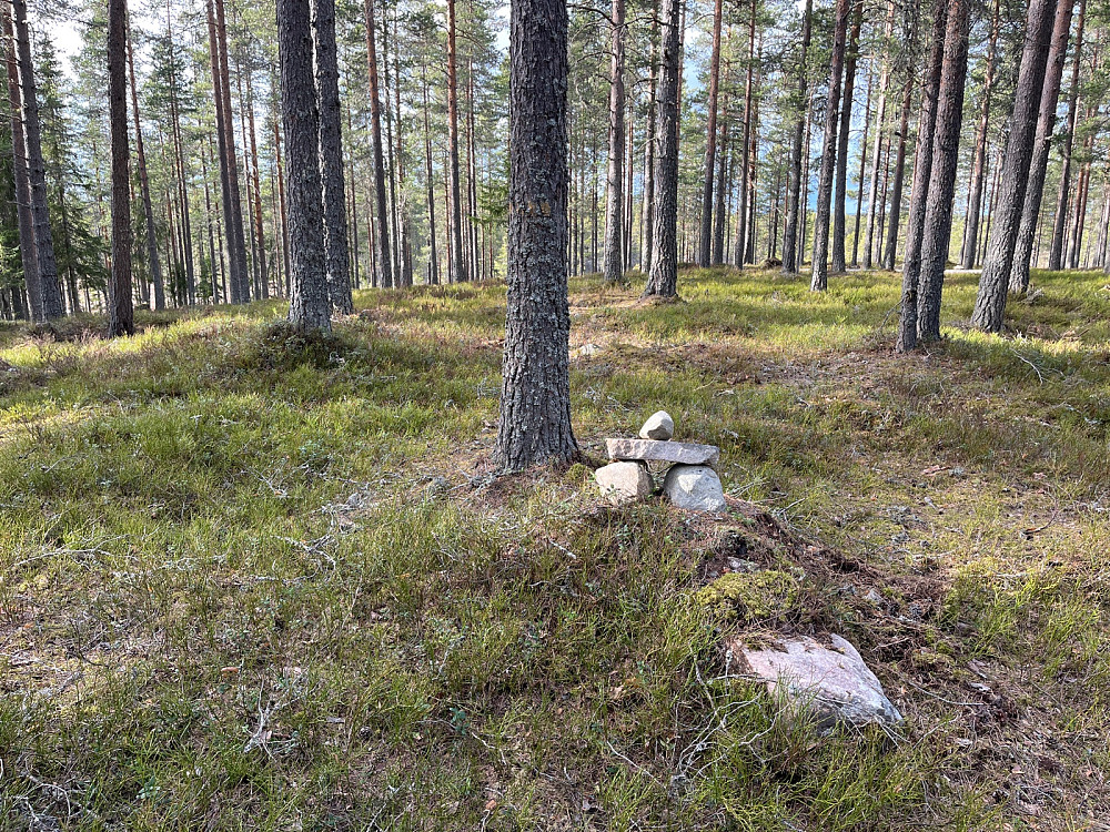 Toppen mot nord