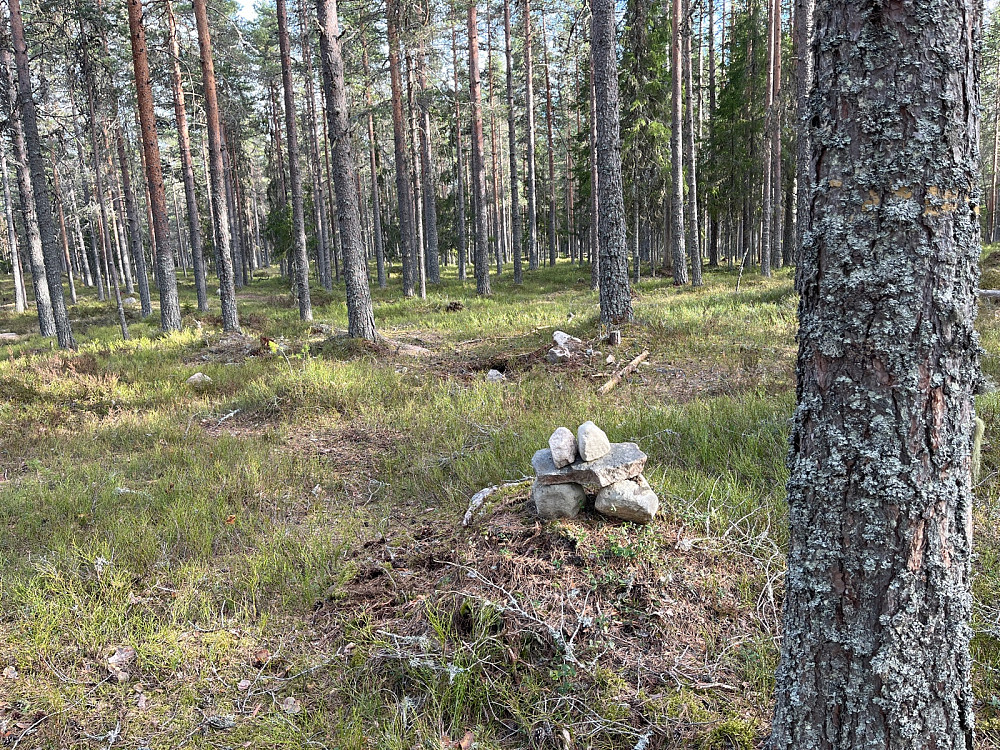 Toppen mot sør, der jeg kom fra