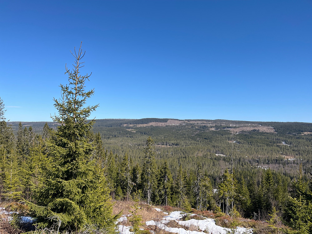Skallberget fra vest fra veien opp til Nupberget