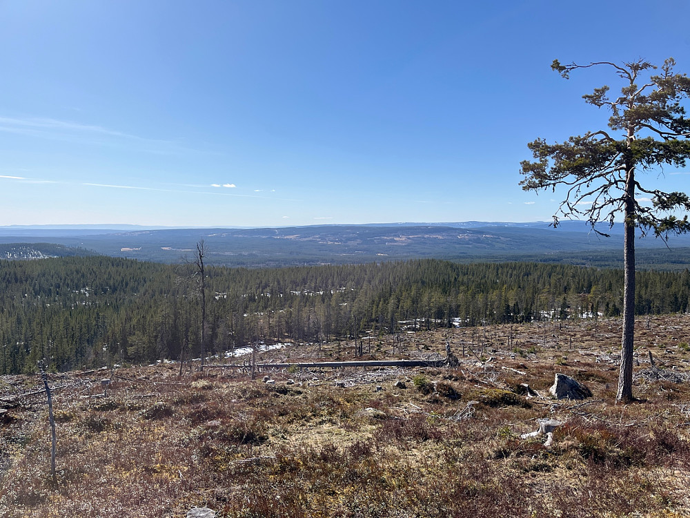 Fra toppen mot vest
