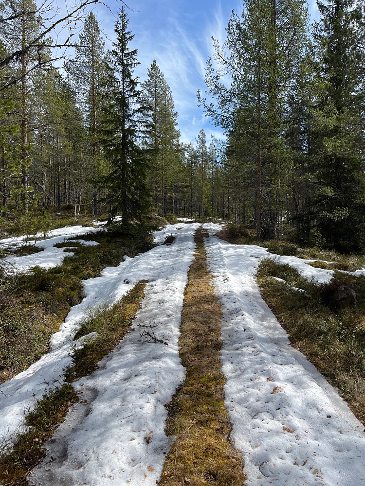 Greit å gå så langt