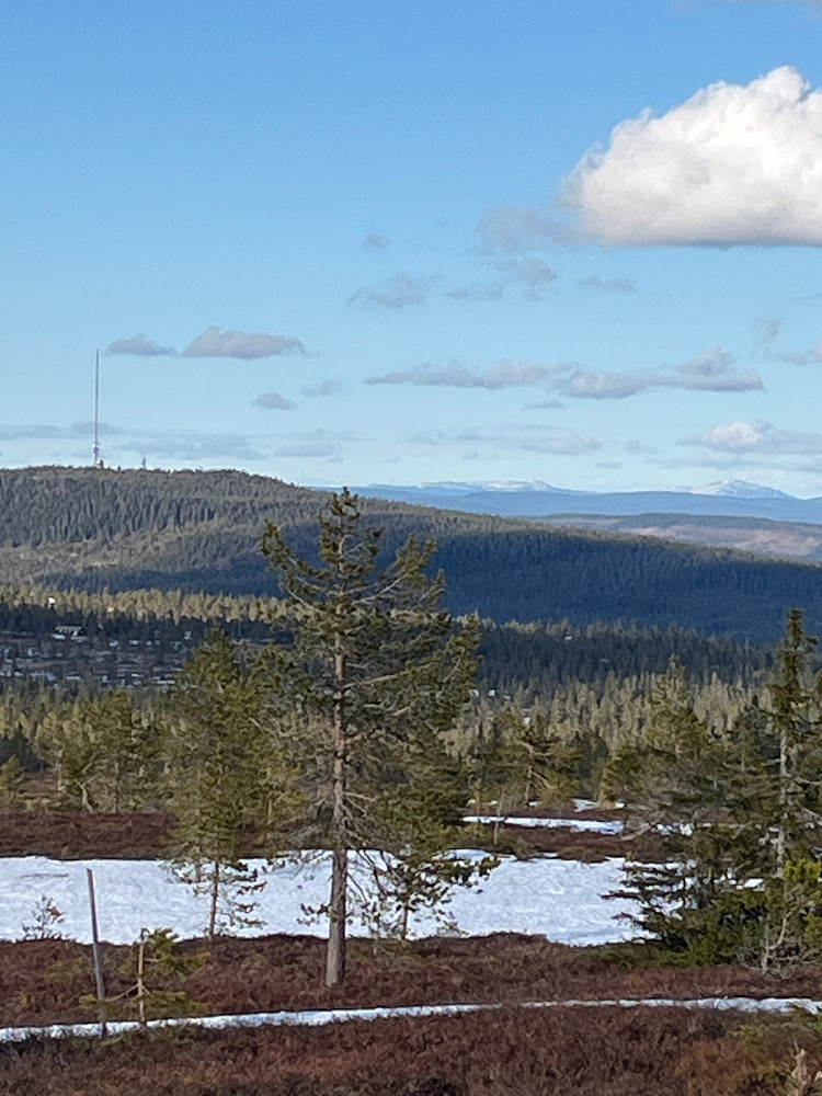 Masta på Nordhue (en av Lørenskog 2 pf 100) og Trysilfjellet bak til venstre