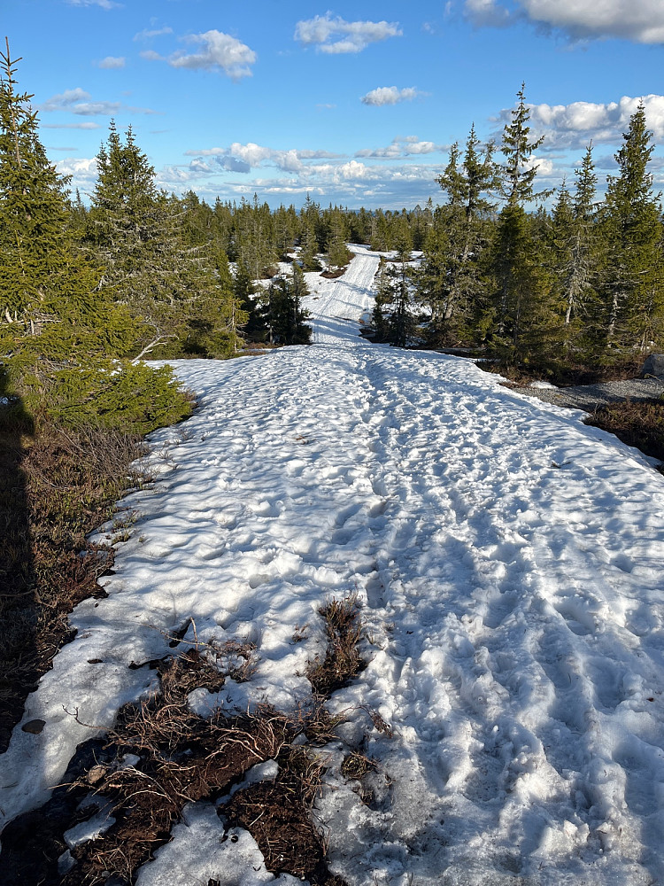 Fulgte sti/skisporet tilbake- øvre vei