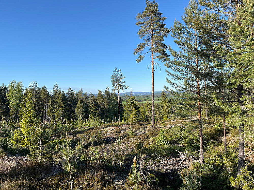 Utsikt litt nord for toppen