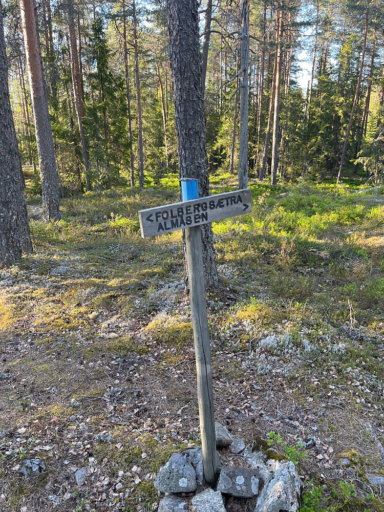 Stikrysset. Holdt til venstre i dag.
