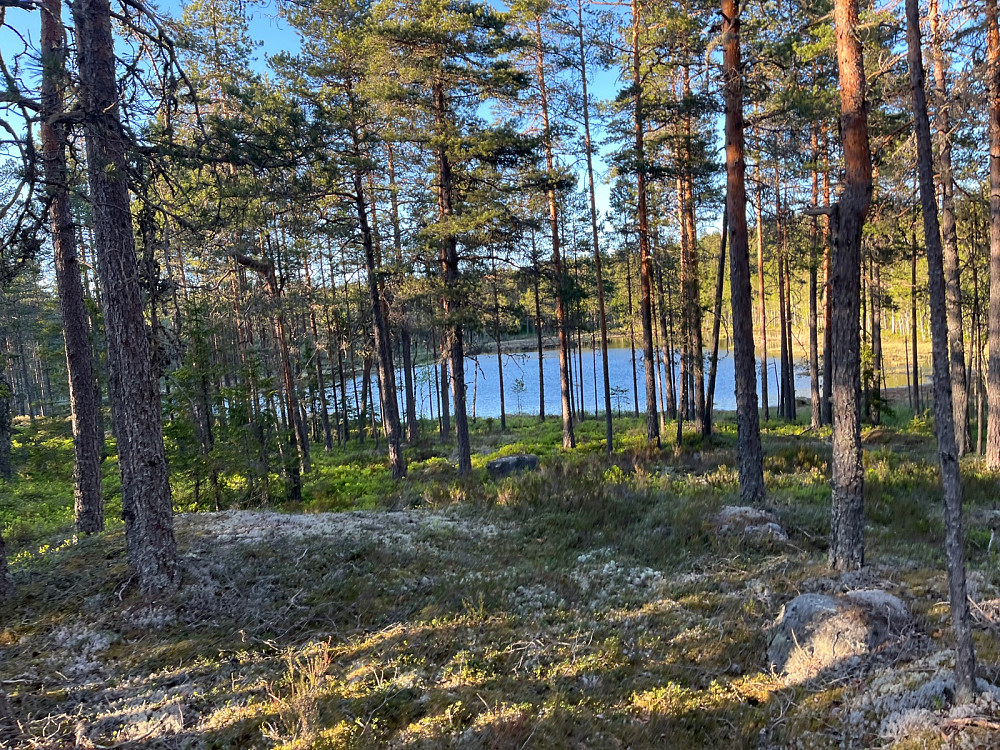 Store Svarttjenn