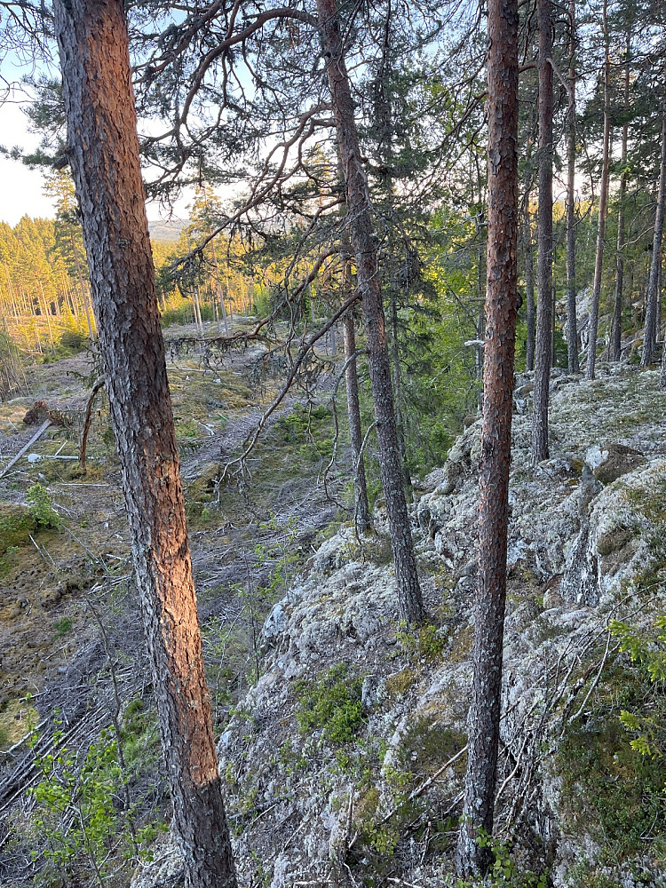 Bratt ned (stup) 30 m sørvest for toppen