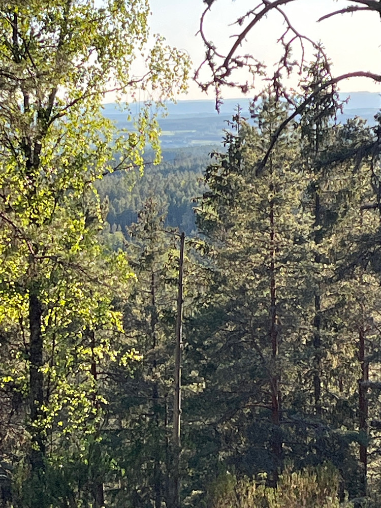 Pause fra utkikkspunktet ved rasteplassen