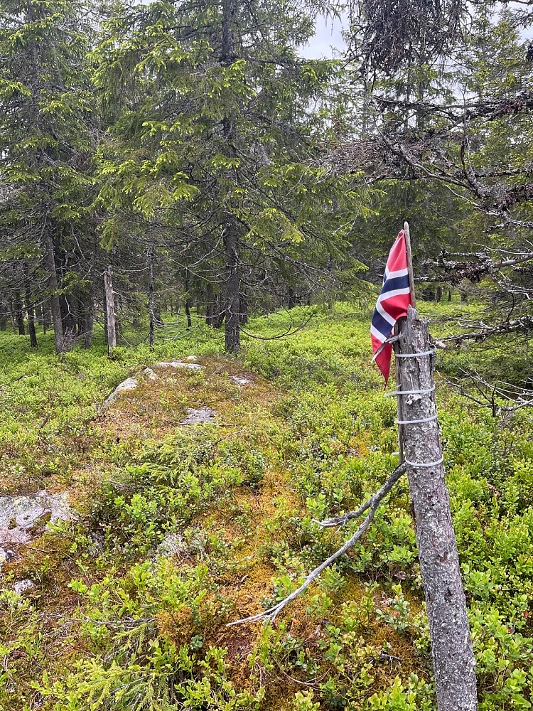 Toppunktet på kommunetoppen Venehaugene.