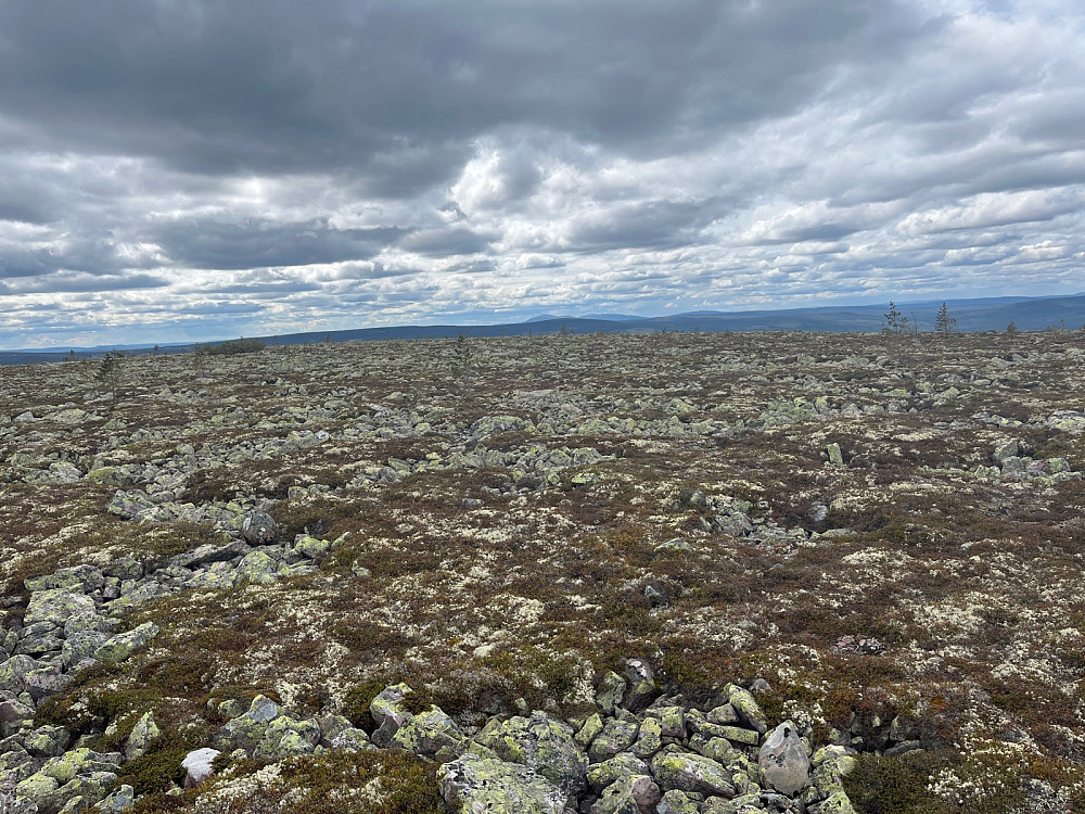 Trysilfjellet bak i midten