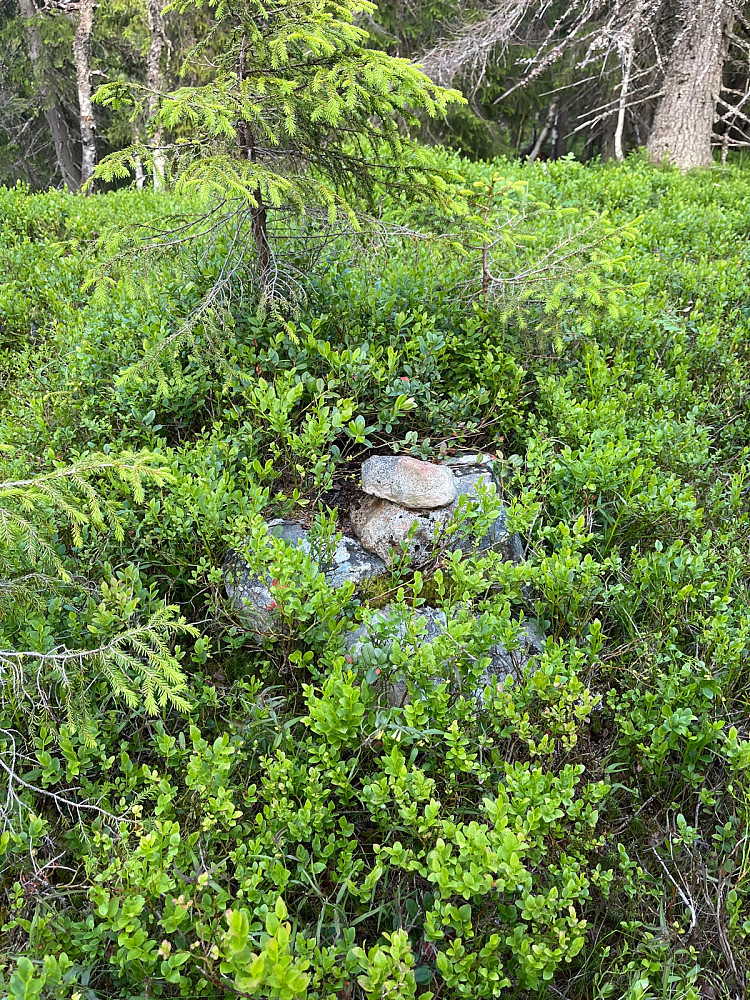 Gammel liten varde på toppen
