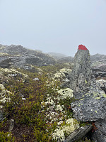 Harex_20250628_685feab7cb56b.jpg