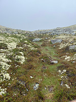 Harex_20250628_685feaba76a76.jpg