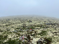 Harex_20250628_685feabb04451.jpg
