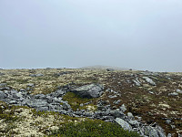Harex_20250628_685feabb8cb19.jpg