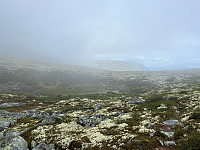 Harex_20250628_685feabc39848.jpg