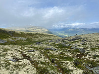 Harex_20250628_685feabd36f48.jpg