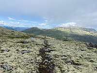 Harex_20250628_685feabdc1d81.jpg